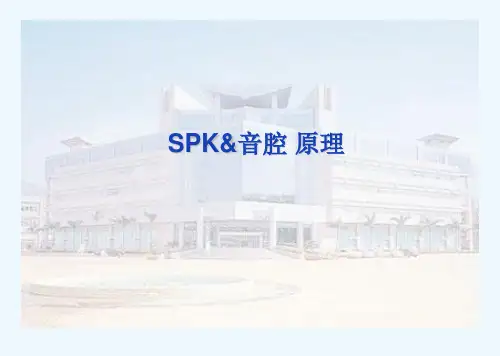 有关喇叭的音腔的设计规范 PPT