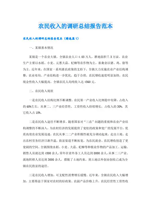 农民收入的调研总结报告范本