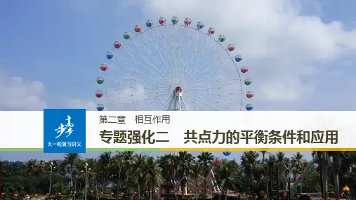 新步步高高考物理(全国用)大一轮复习讲义课件：第二章 相互作用 专题强化二