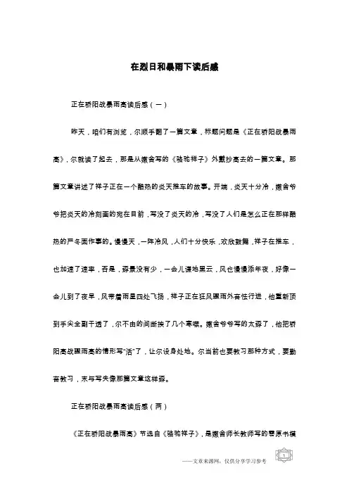 在烈日和暴雨下读后感