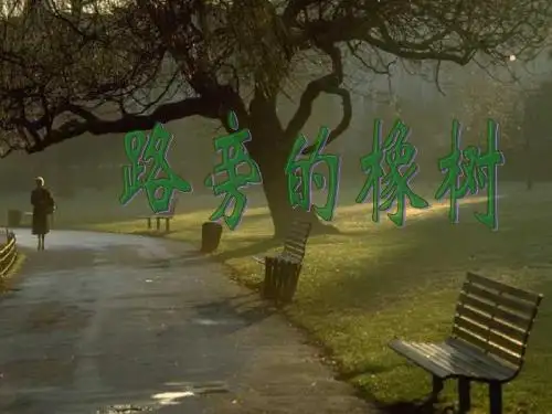 人教版三年级语文下册《路旁的橡树》课件PPT