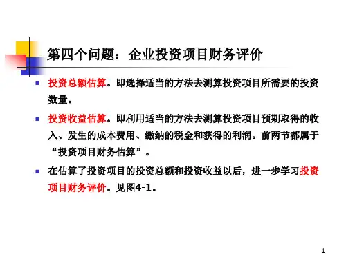 投资项目财务评价
