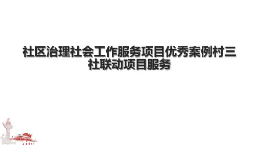 社区治理社会工作服务项目优秀案例村三社联动项目服务.pptx