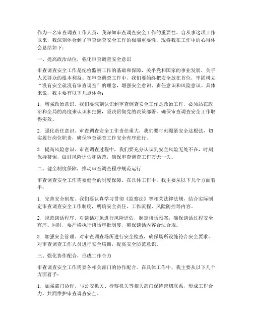 审调查安全工作心得体会
