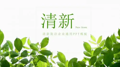 清新简约企业商务通用PPT模板