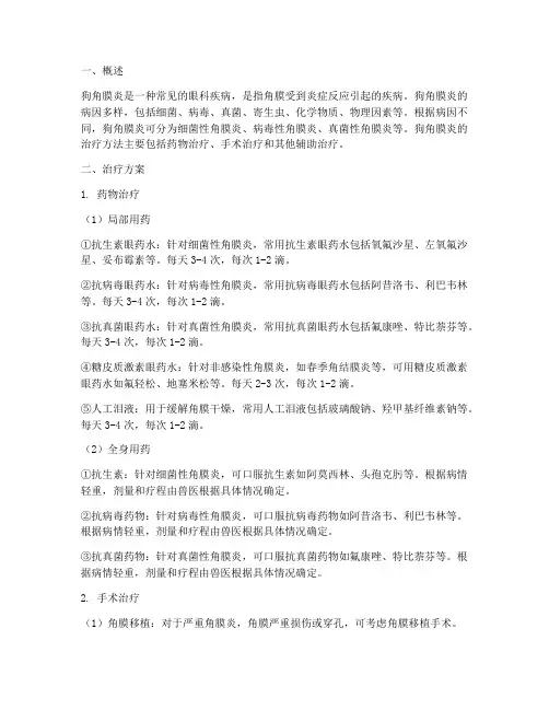狗角膜炎治疗方案