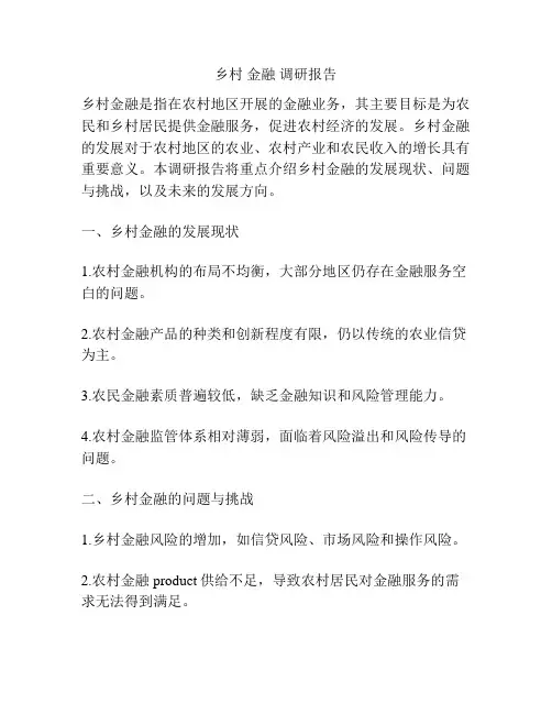 乡村 金融 调研报告