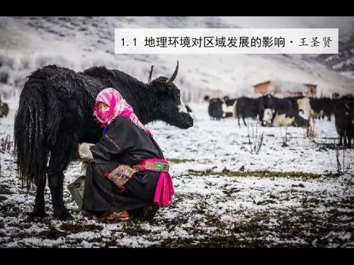 1.1 地理环境对区域发展的影响 教学课件