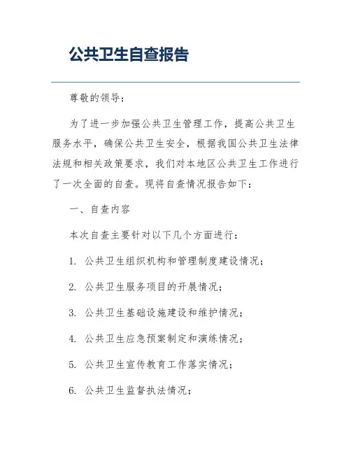 公共卫生自查报告