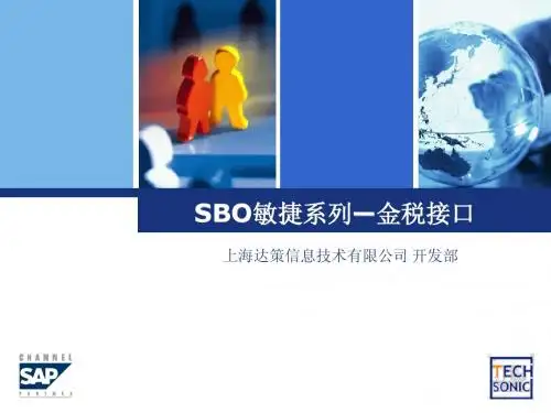 sap敏捷金税教程