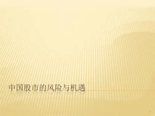 中国股市的风险ppt课件