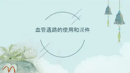 血管通路的使用和课件