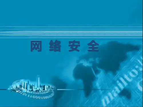 《Web的安全性》PPT课件