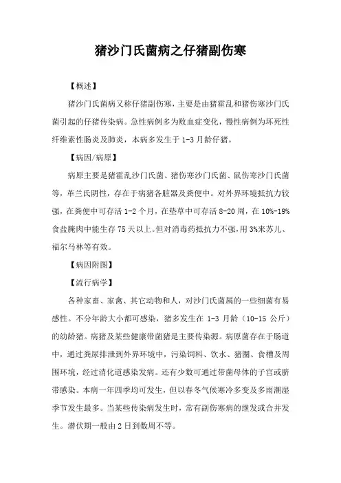 猪沙门氏菌病之仔猪副伤寒