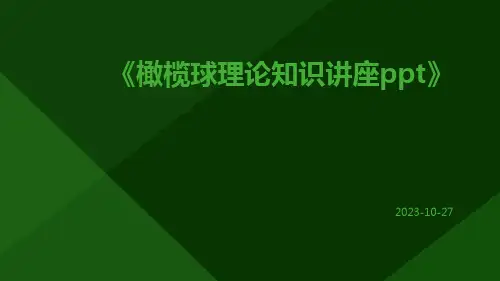 橄榄球理论知识讲座ppt
