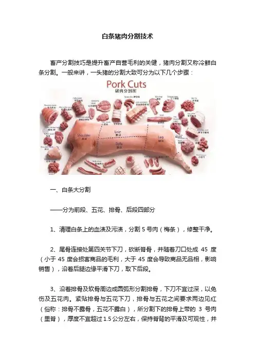 白条猪肉分割技术