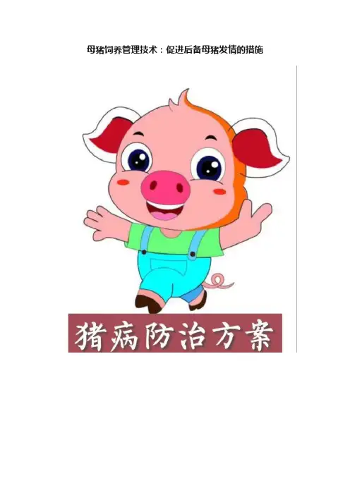 母猪饲养管理技术：促进后备母猪发情的措施