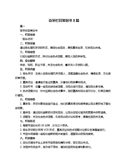 街采栏目策划书3篇