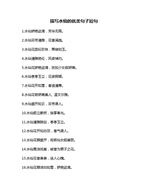 描写水仙的优美句子短句