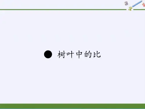 六年级数学上册课件-树叶中的比(共35张PPT)ppt