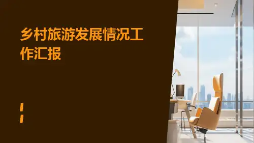 乡村旅游发展情况工作汇报PPT