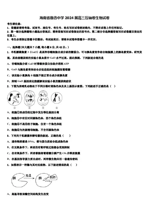 海南省鲁迅中学2024届高三压轴卷生物试卷含解析