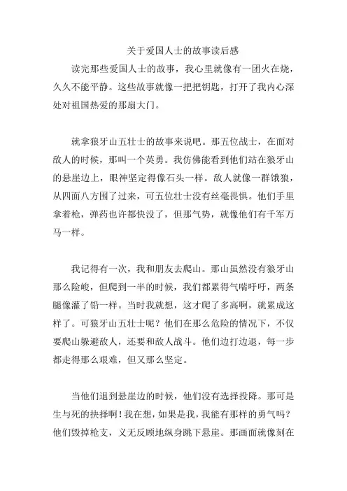 关于爱国人士的故事读后感
