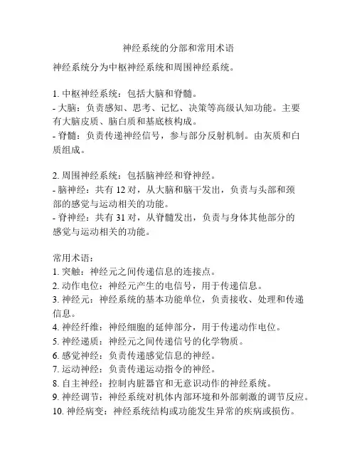 神经系统的分部和常用术语