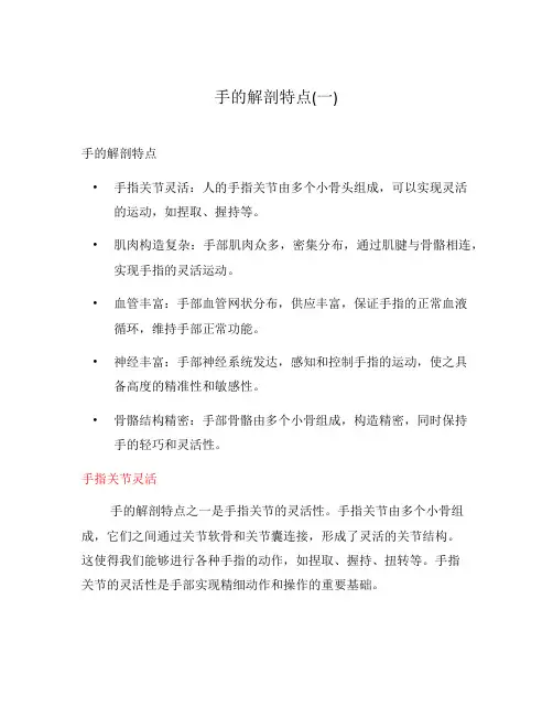 手的解剖特点(一)