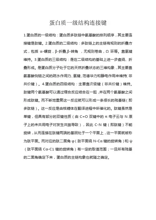 蛋白质一级结构连接键