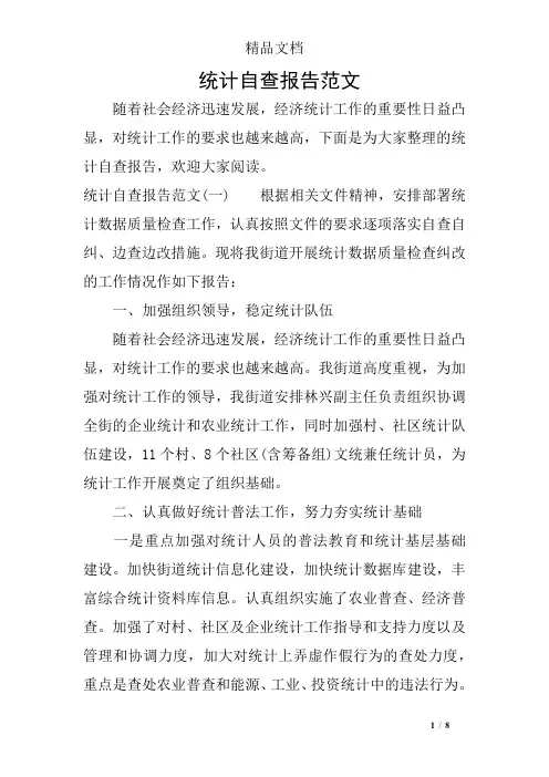 统计自查报告范文