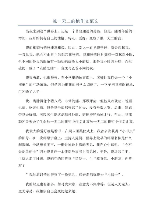 独一无二的他作文范文
