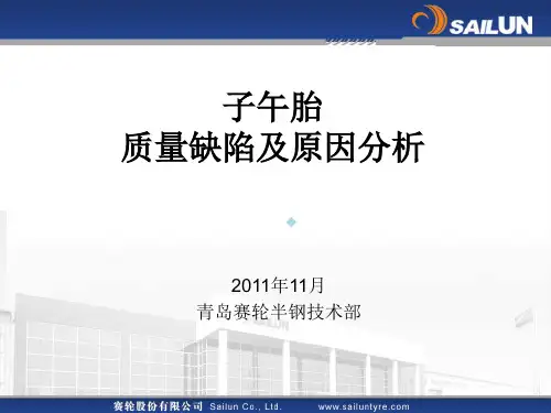 轮胎缺陷分析精品ppt课件