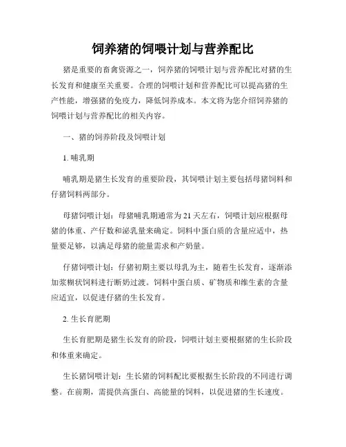 饲养猪的饲喂计划与营养配比