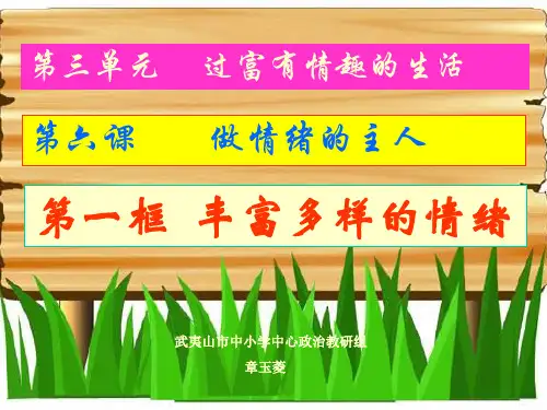 丰富多样的情绪ppt优秀课件8 人教版