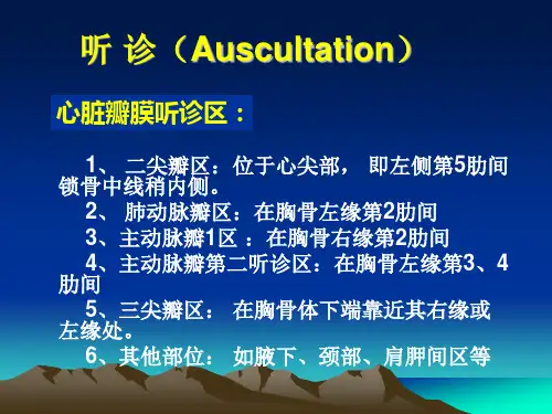 心脏听诊检查