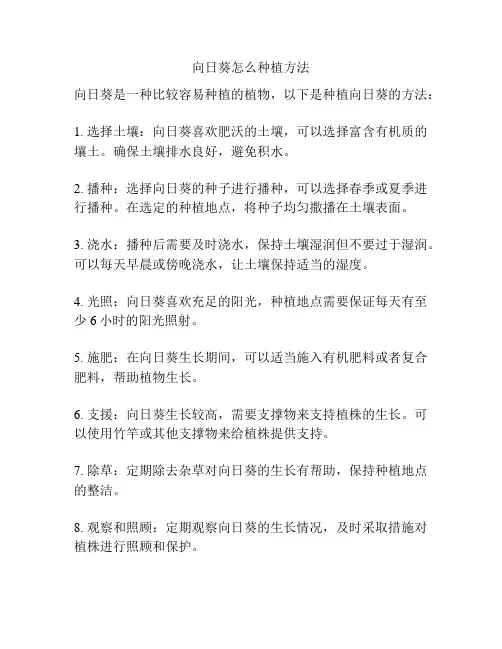向日葵怎么种植方法