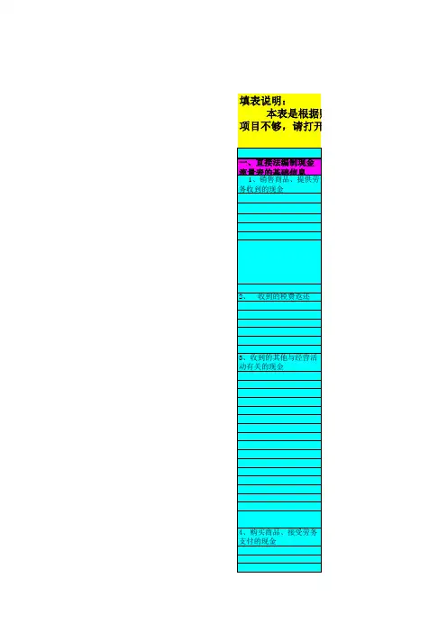新准则现金流量表编制模板