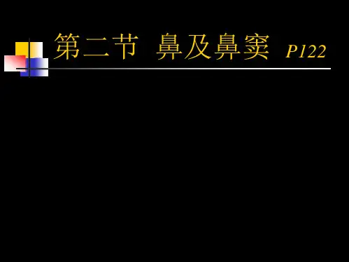 影像诊断学-鼻及鼻窦