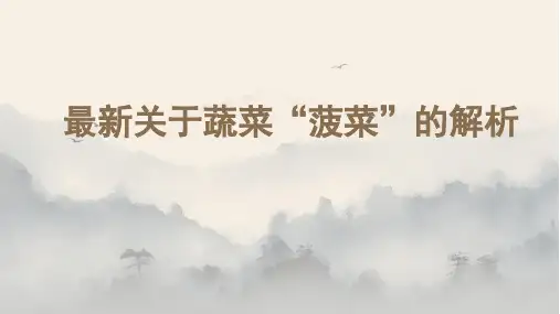 最新关于蔬菜“菠菜”的解析