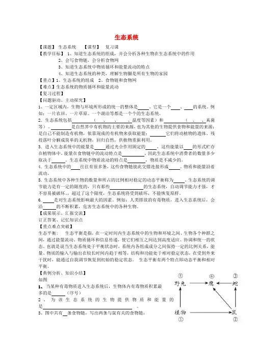 中考生物《生态系统》复习教案 人教新课标版