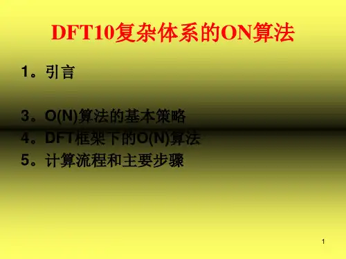 DFT10复杂体系的ON算法