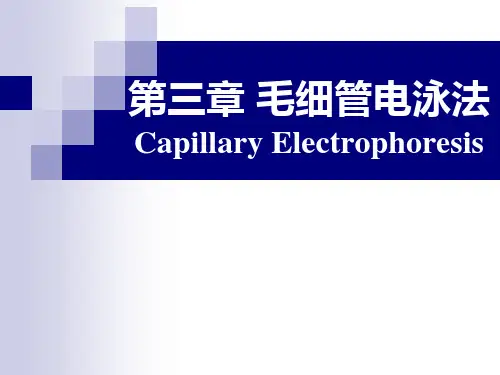 第三章毛细管电泳法