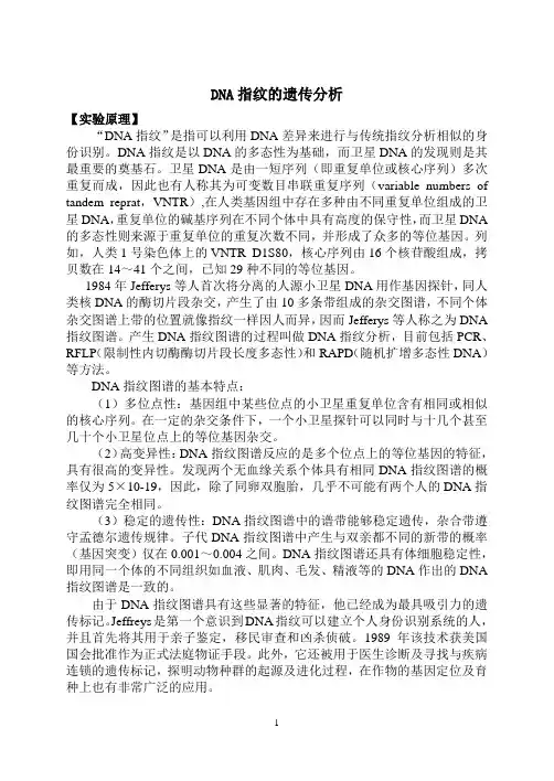 DNA指纹的遗传分析实验报告