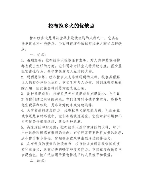拉布拉多犬的优缺点