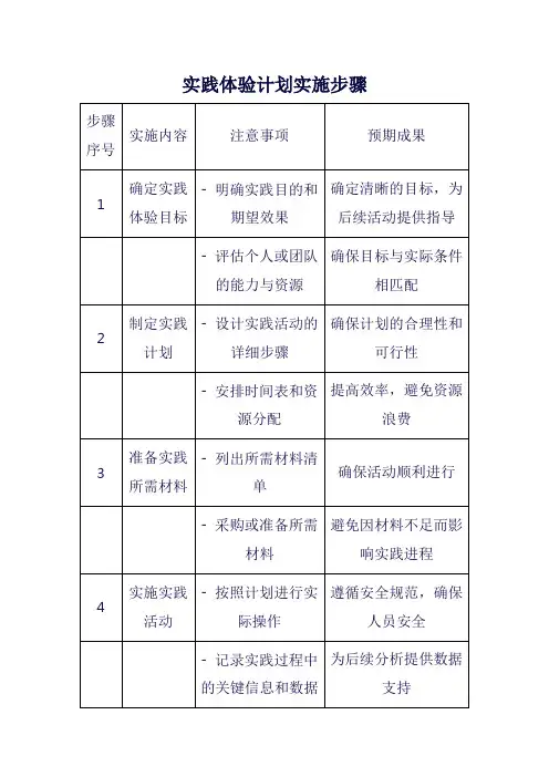 实践体验计划实施步骤