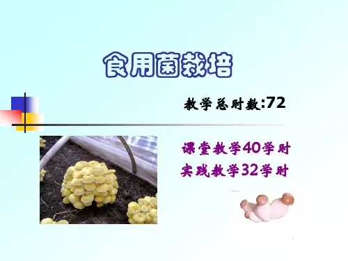 食用菌栽培ppt课件