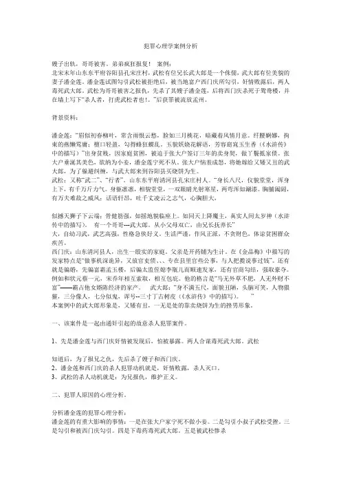犯罪心理学案例分析