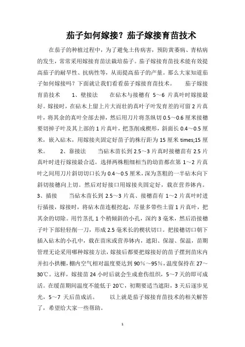 茄子如何嫁接？茄子嫁接育苗技术