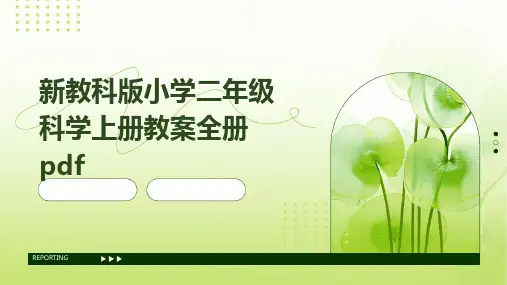 新教科版小学二年级科学上册教案全册pdf